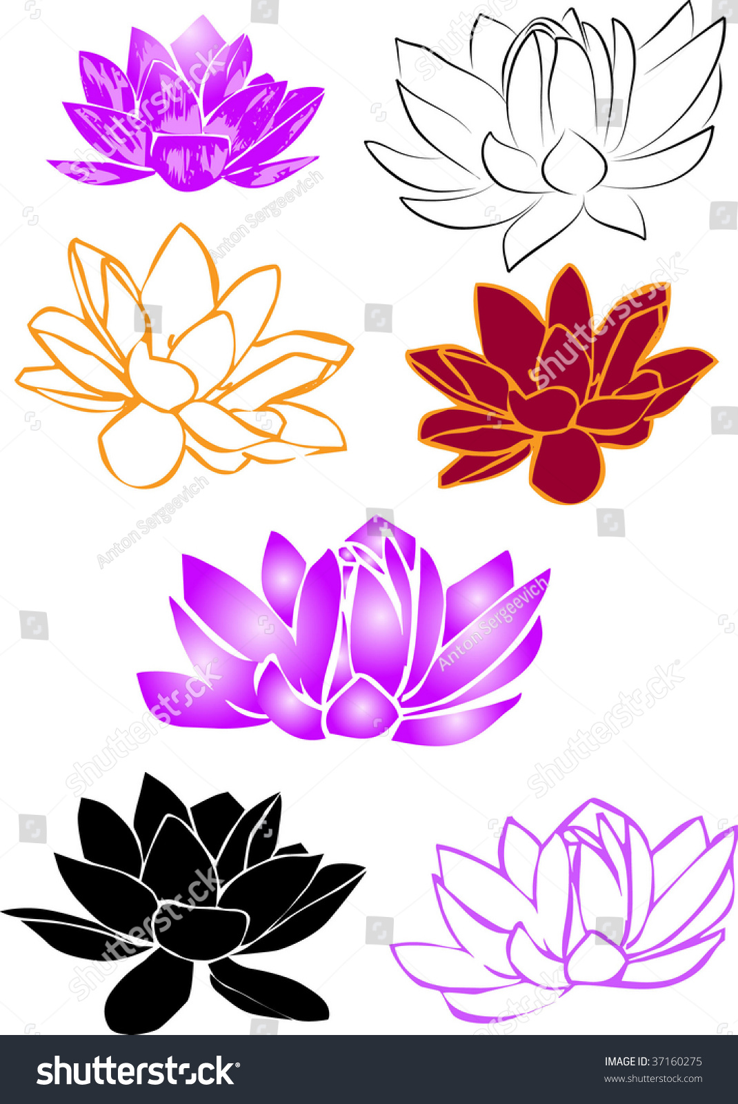 Illustration Of Lotus Flower - 37160275 : Shutterstock