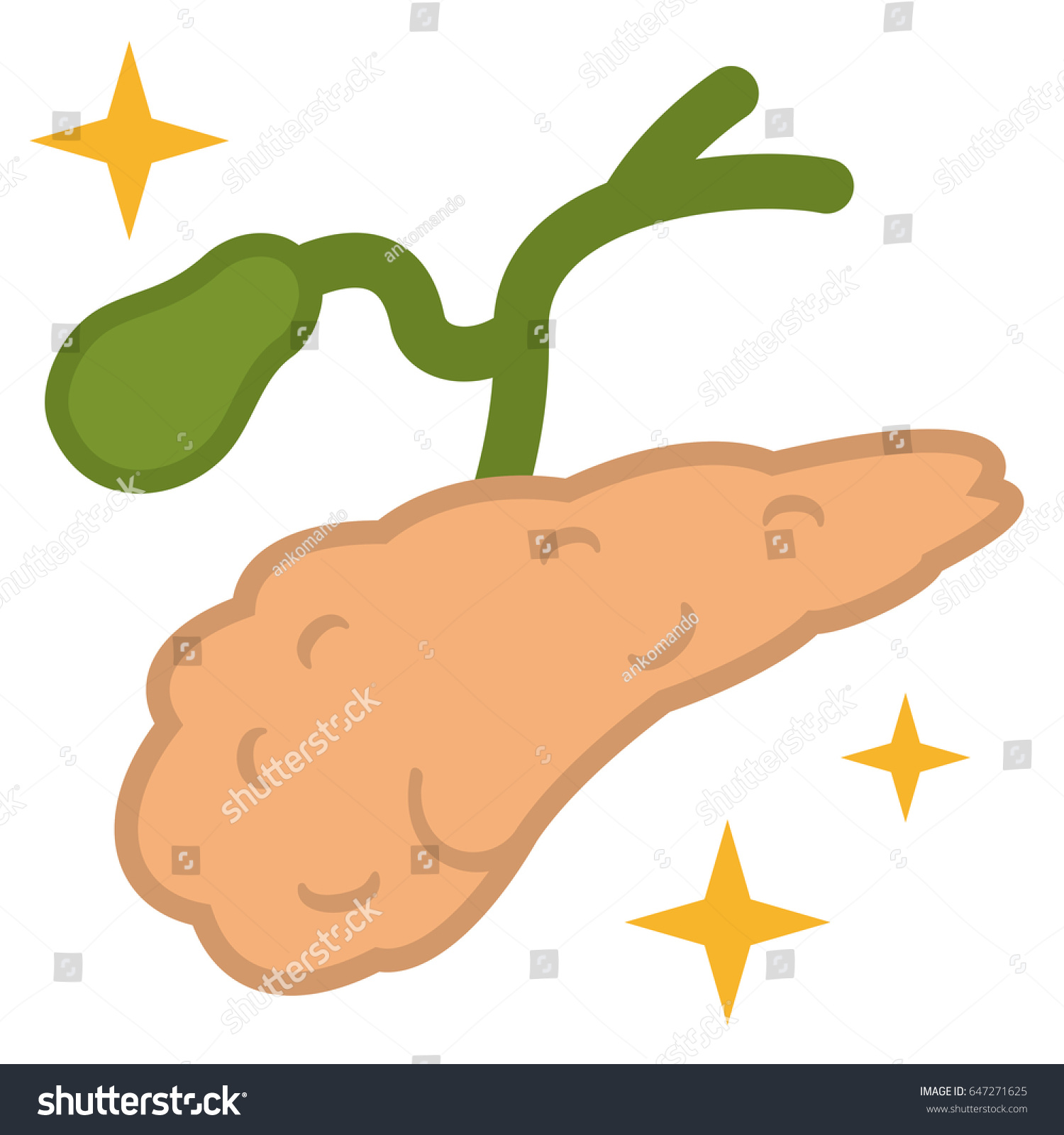 Illustration Pancreas Gall Bladder Stock Vector (Royalty Free ...