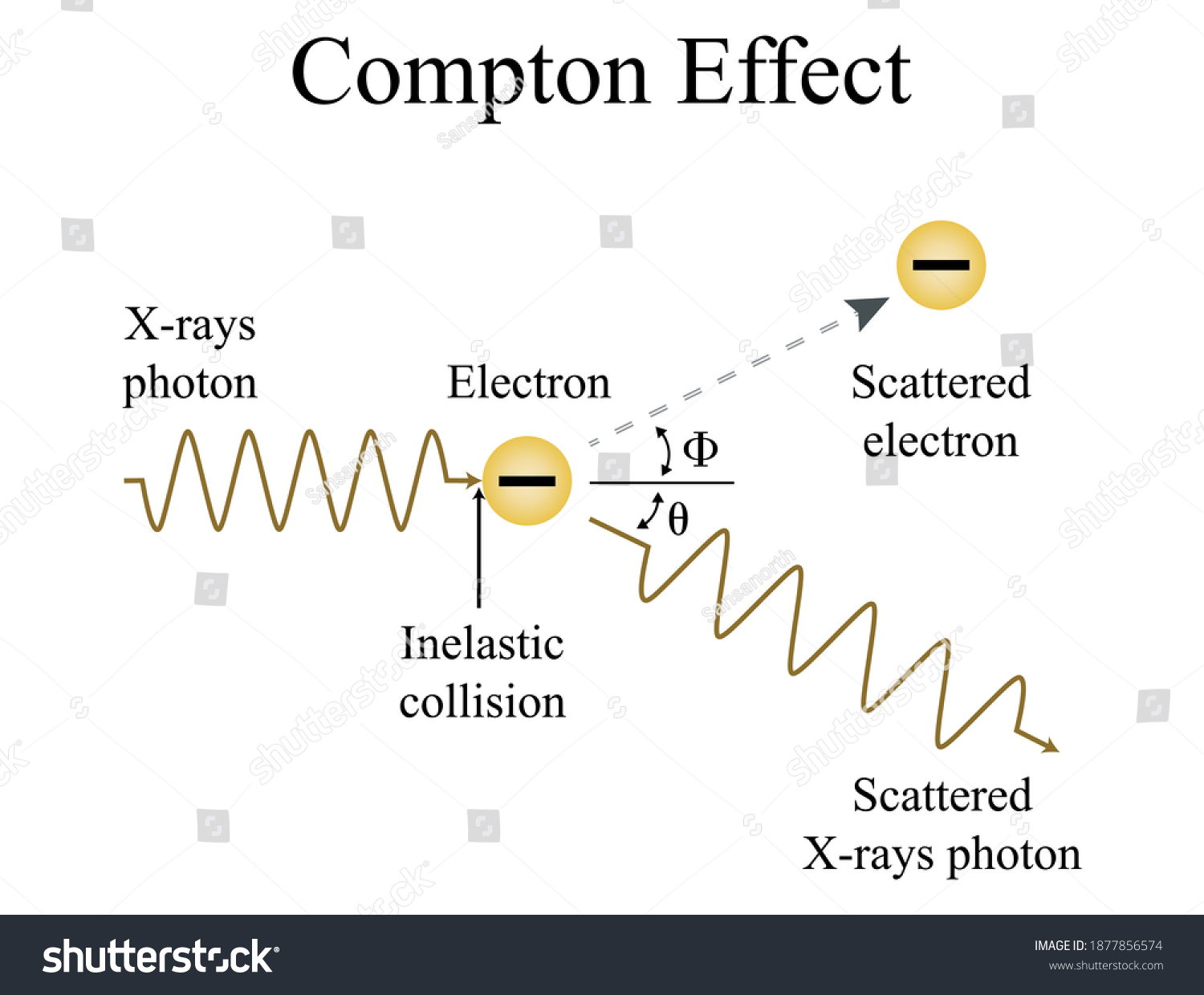 9 Compton Effect: Immagini, Foto Stock E Grafica Vettoriale | Shutterstock