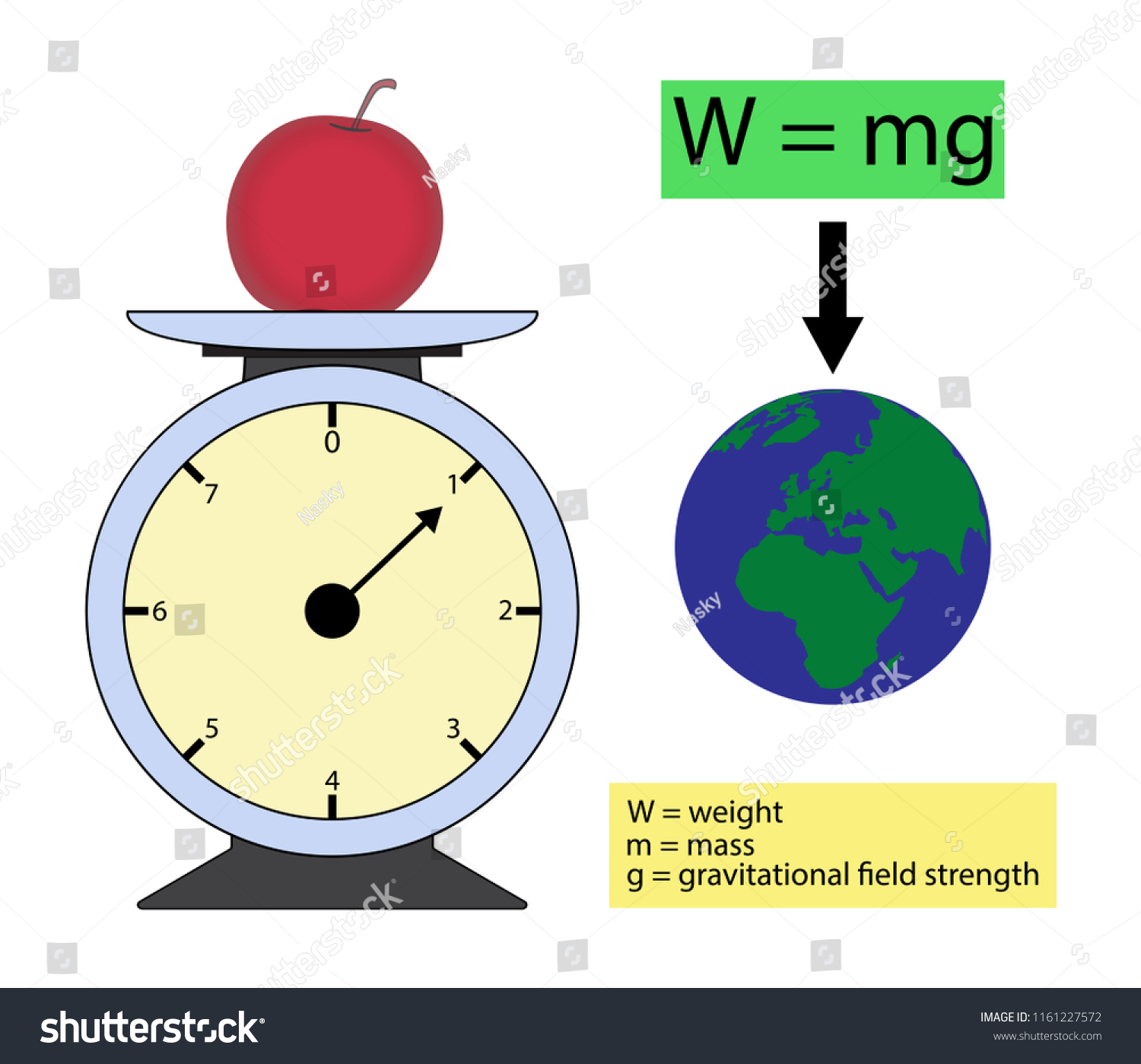 Simple Suspended Weight Force Physics Forums