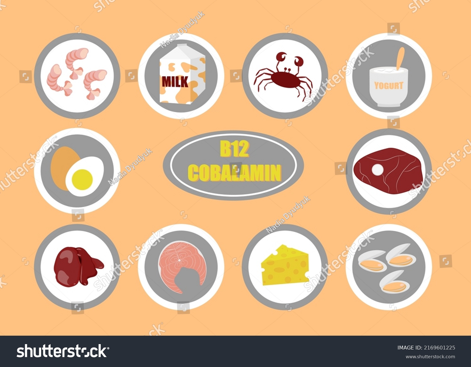 Illustration Products That Contain Vitamin B12 Stock Vector (Royalty ...