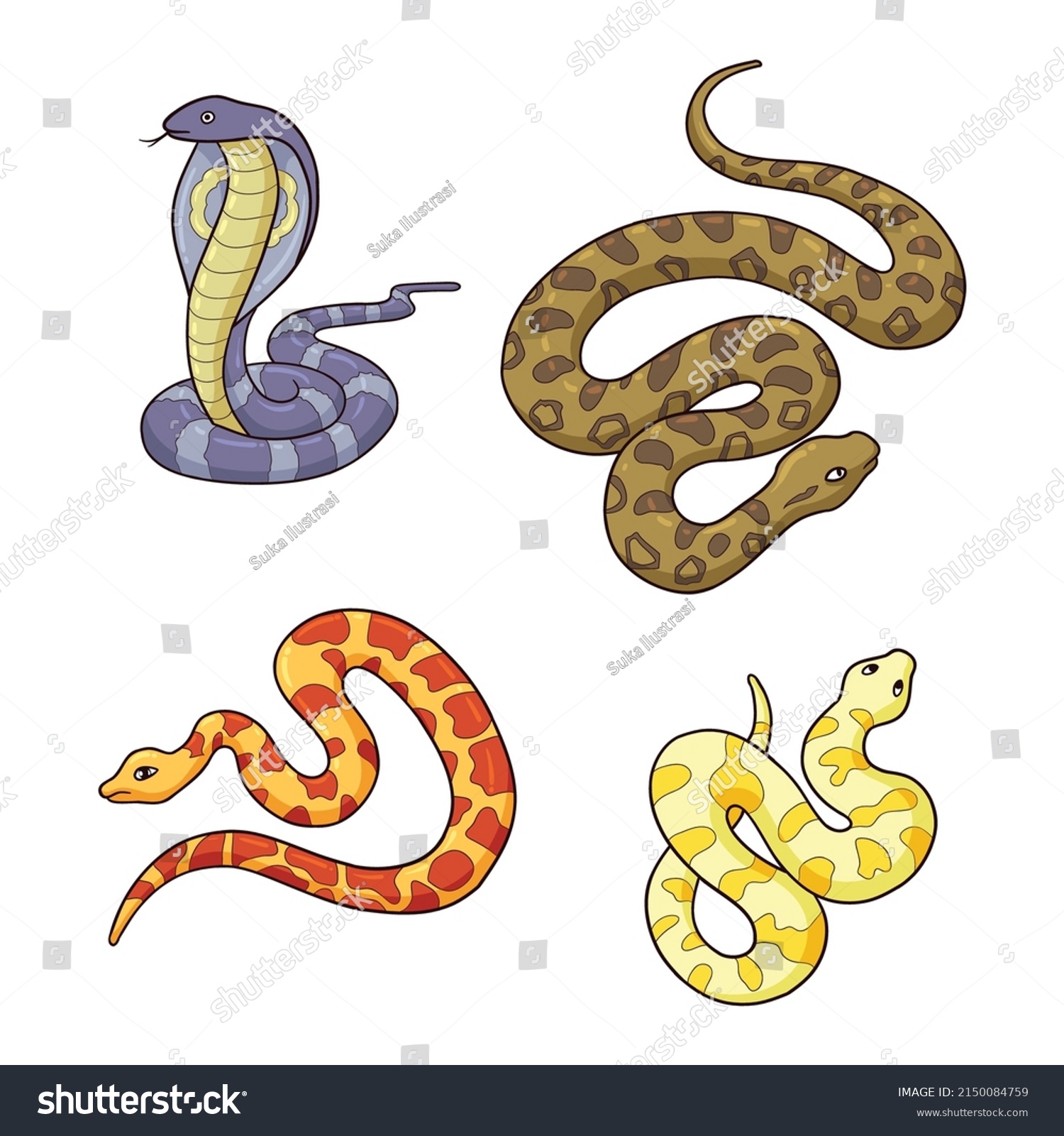 Illustration Several Types Snakes There Cobras Stock Vector (Royalty ...