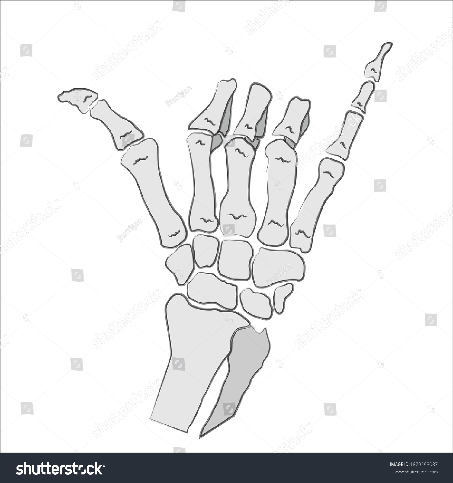 Illustration Skeleton Hand Doing Shaka Sign Stock Vector (Royalty Free ...