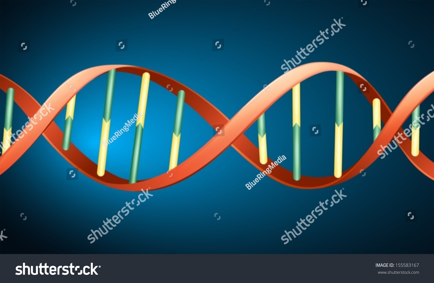 Illustration Deoxyribonucleic Acid Stock Vector Royalty Free 155583167 8976