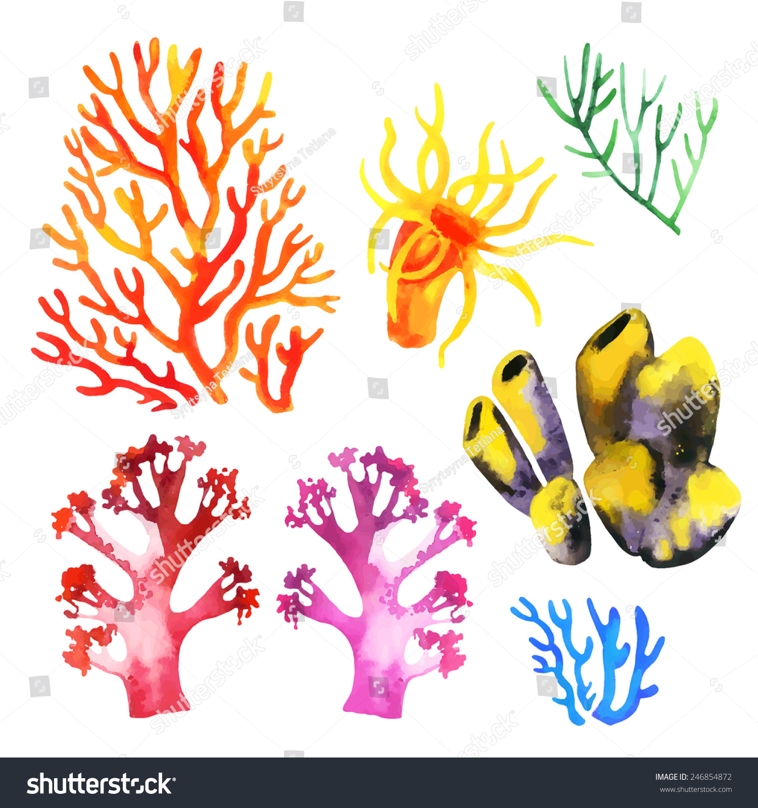 Illustration Of The Watercolor Coral Reefs On A White Background ...