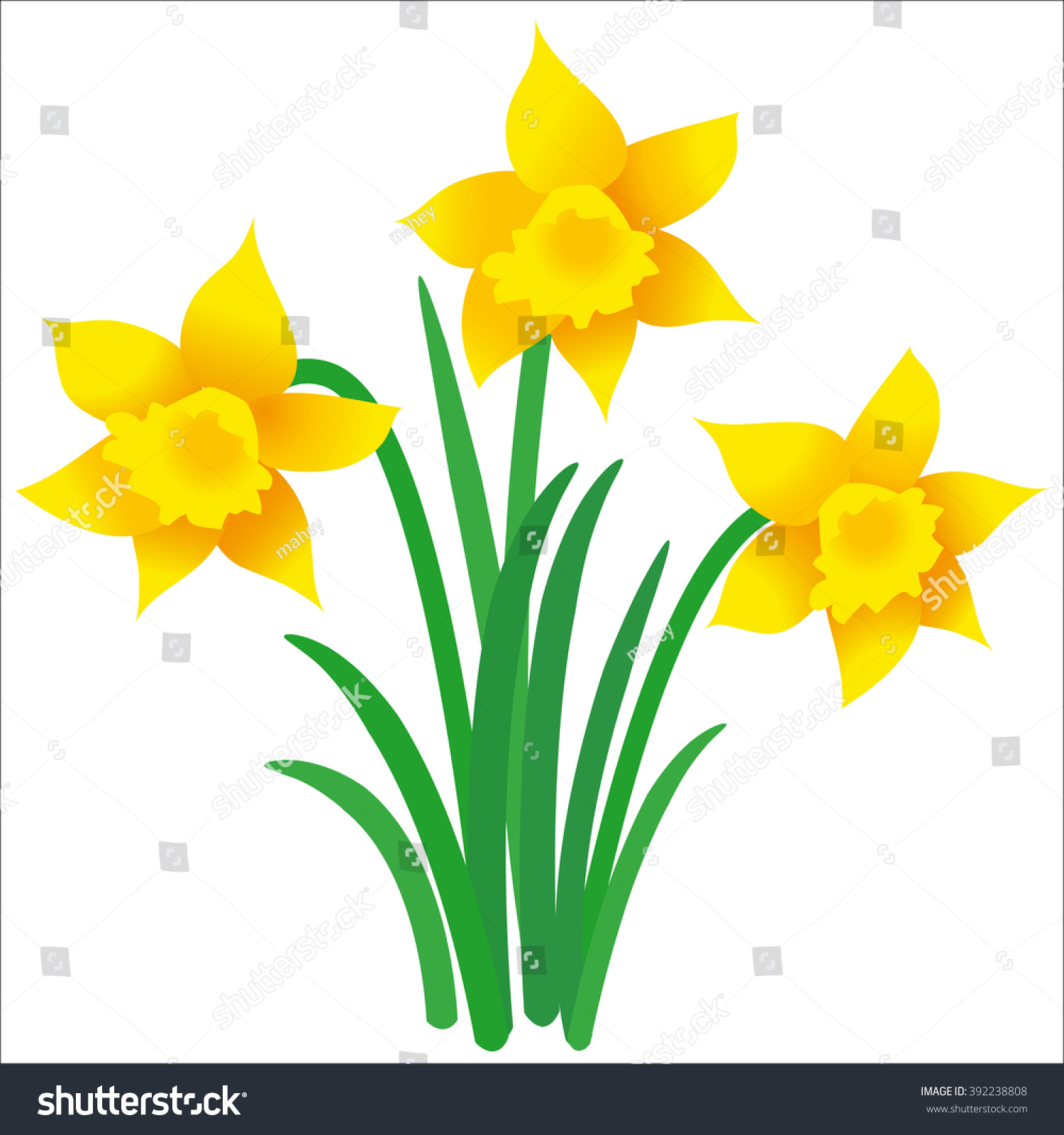 SVG of Illustration of three daffodils with leaves on white background; Vector graphic of Easter motif svg