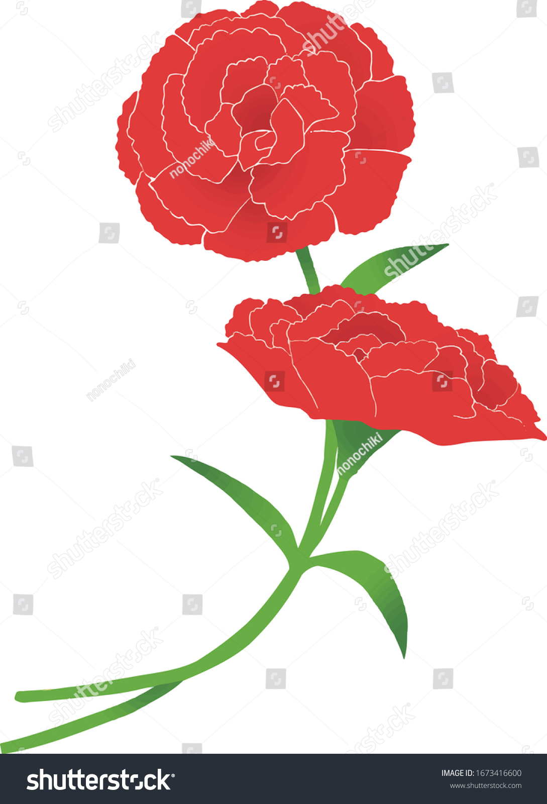 Illustration Two Red Carnations Stock Vector (Royalty Free) 1673416600