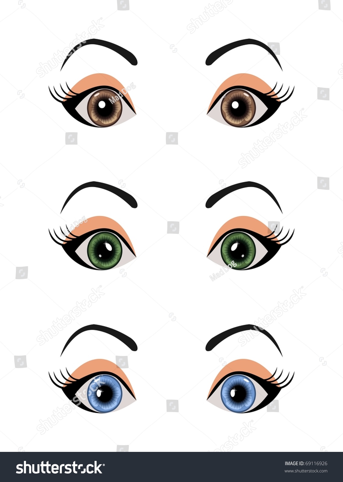 Illustration Set Female Eyes Isolated - Vector - 69116926 : Shutterstock