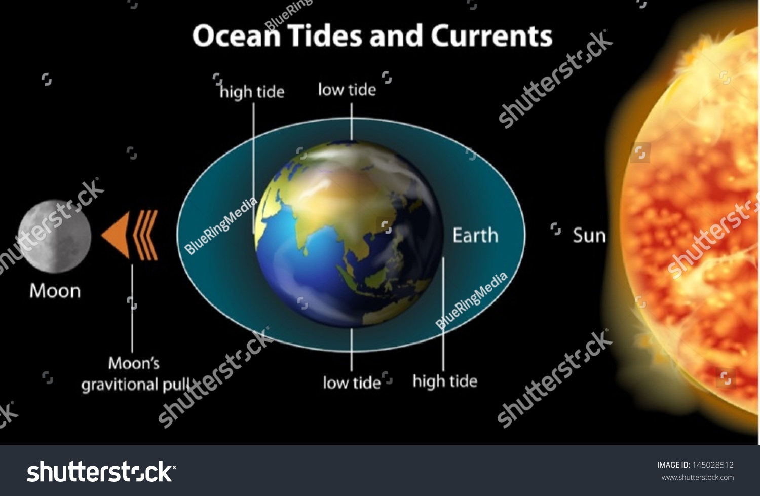 Illustration Showing Earth Moon Tidal Influence Stock Vector 145028512 - Shutterstock1500 x 979