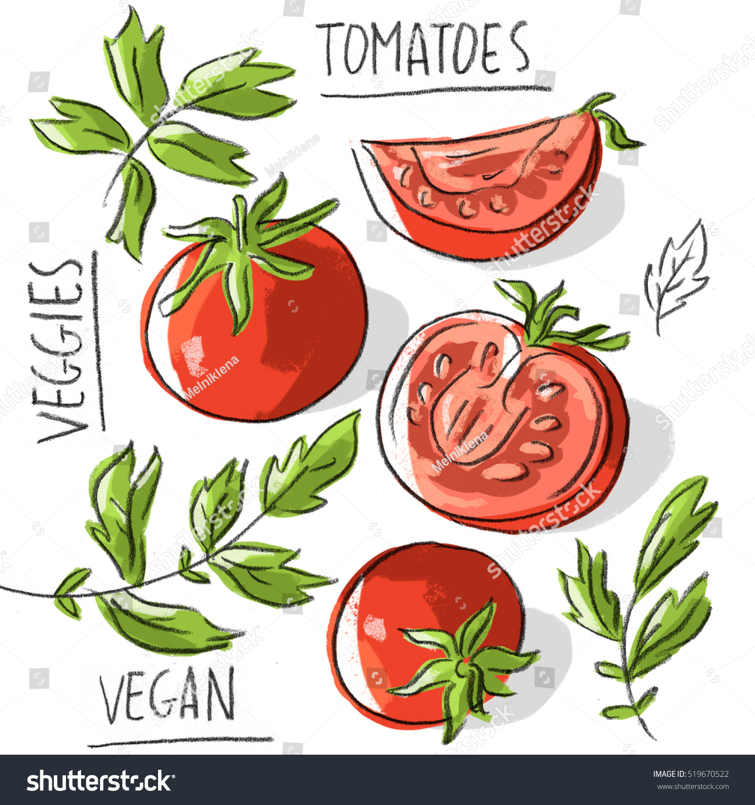 Illustration Tomatoes Lettering Stock Vector (Royalty Free) 519670522