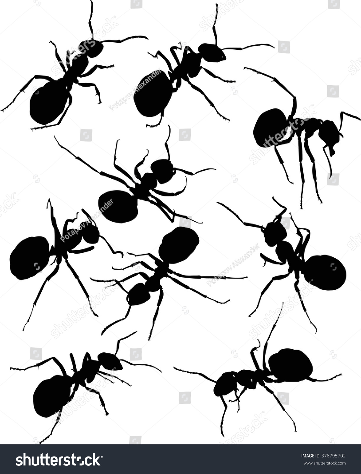 Illustration Ant Silhouettes Isolated On White Stock Vector (Royalty ...