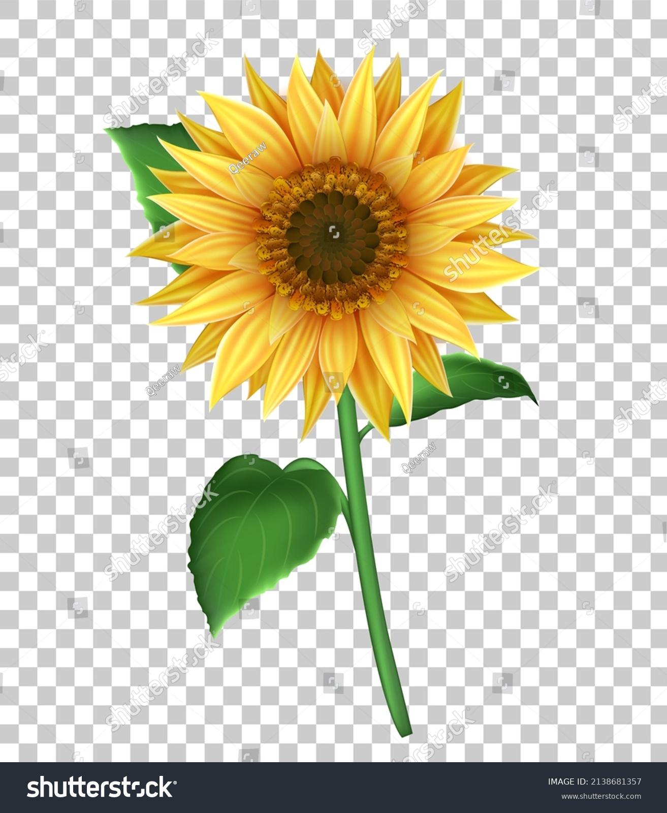 SVG of Illustration with 3d sunflower  isolated on transparent background. Realistic vector illustration with yellow flower for decoration. svg