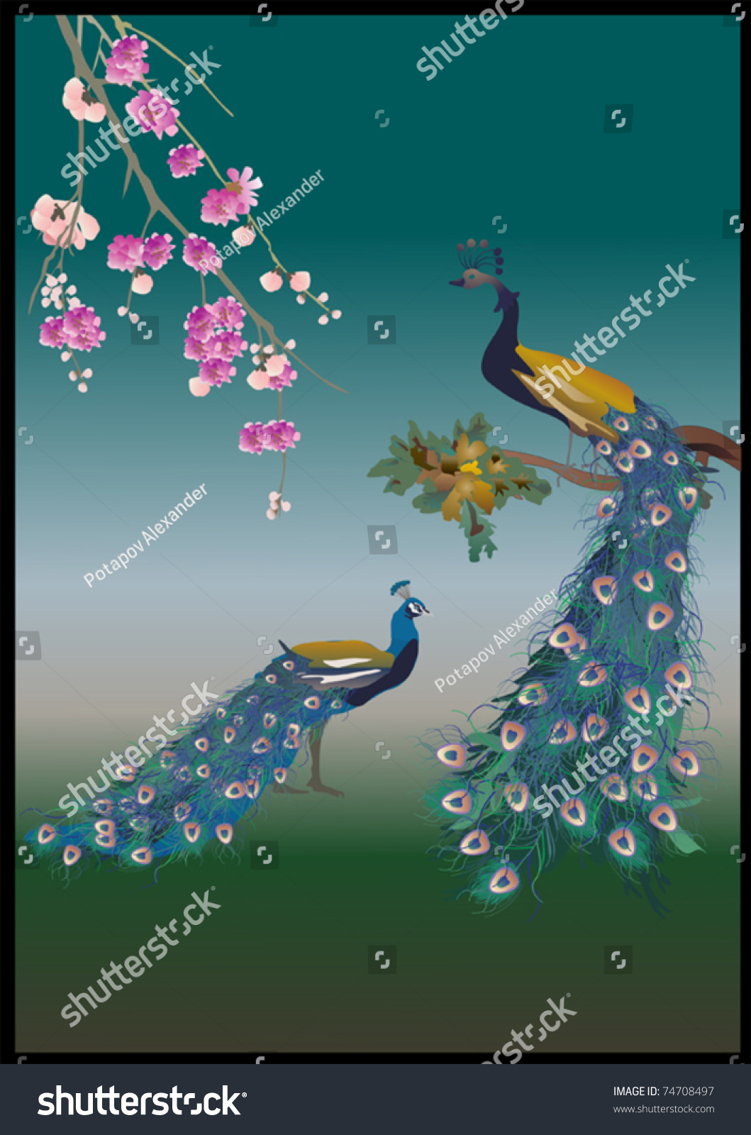 Illustration With Flower Branch And Two Peacocks - 74708497 : Shutterstock