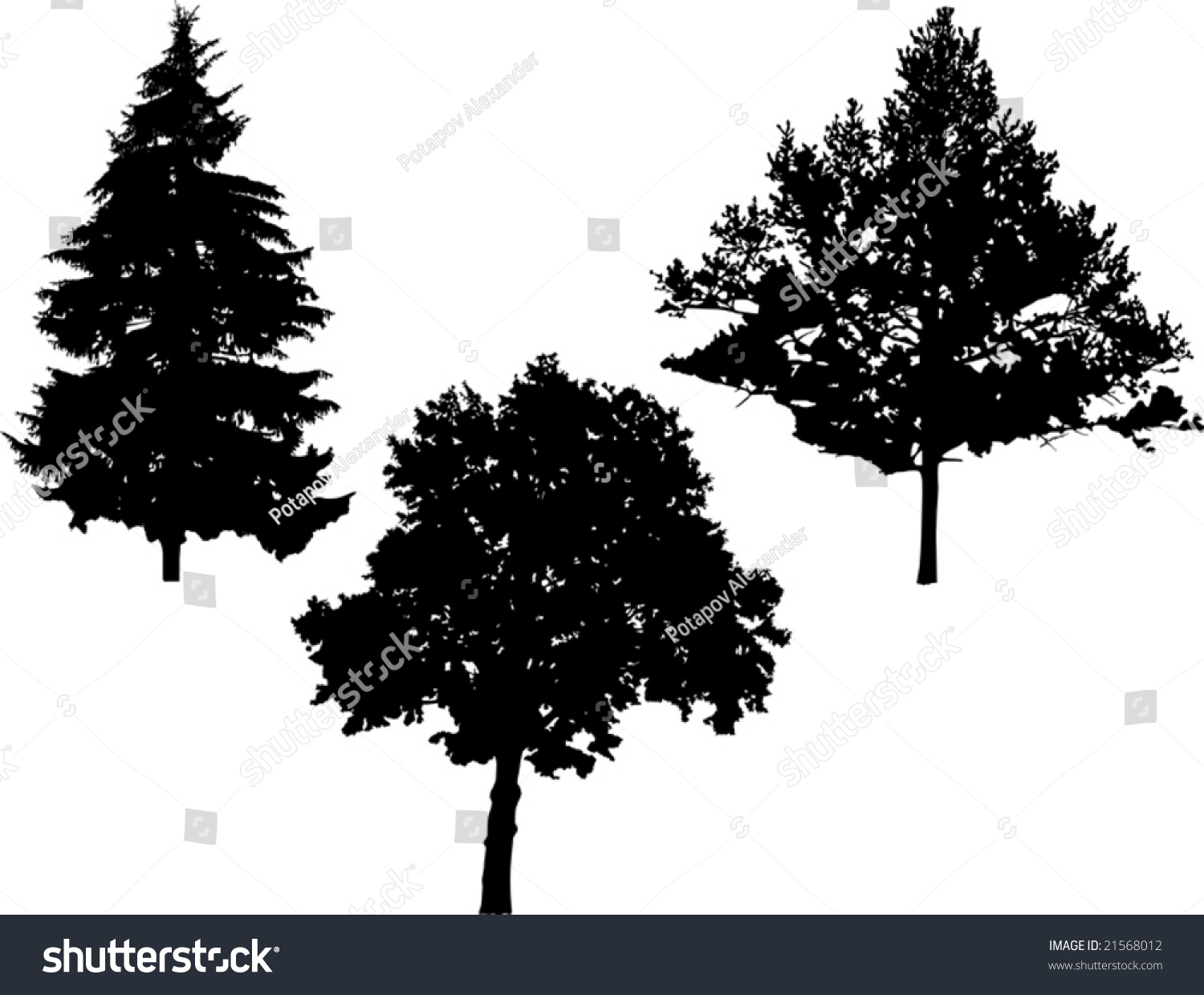 Illustration Trees Silhouette Isolated On White Stock Vector 21568012