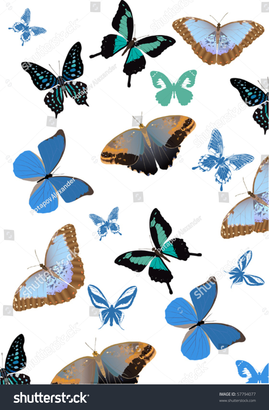 Illustration Tropical Butterfly Background Stock Vector Royalty ...