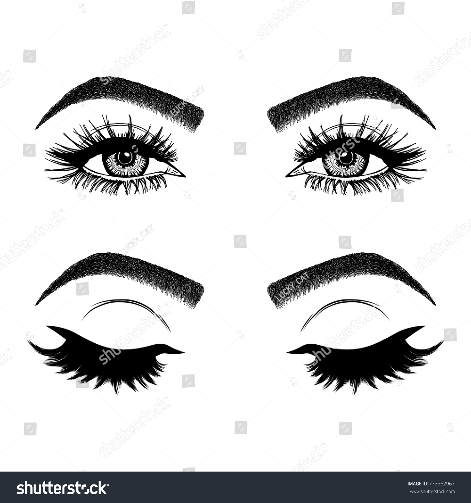 Illustration Womans Eyes Eyelashes Eyebrows Makeup Stock Vector Royalty Free 773562967 3775