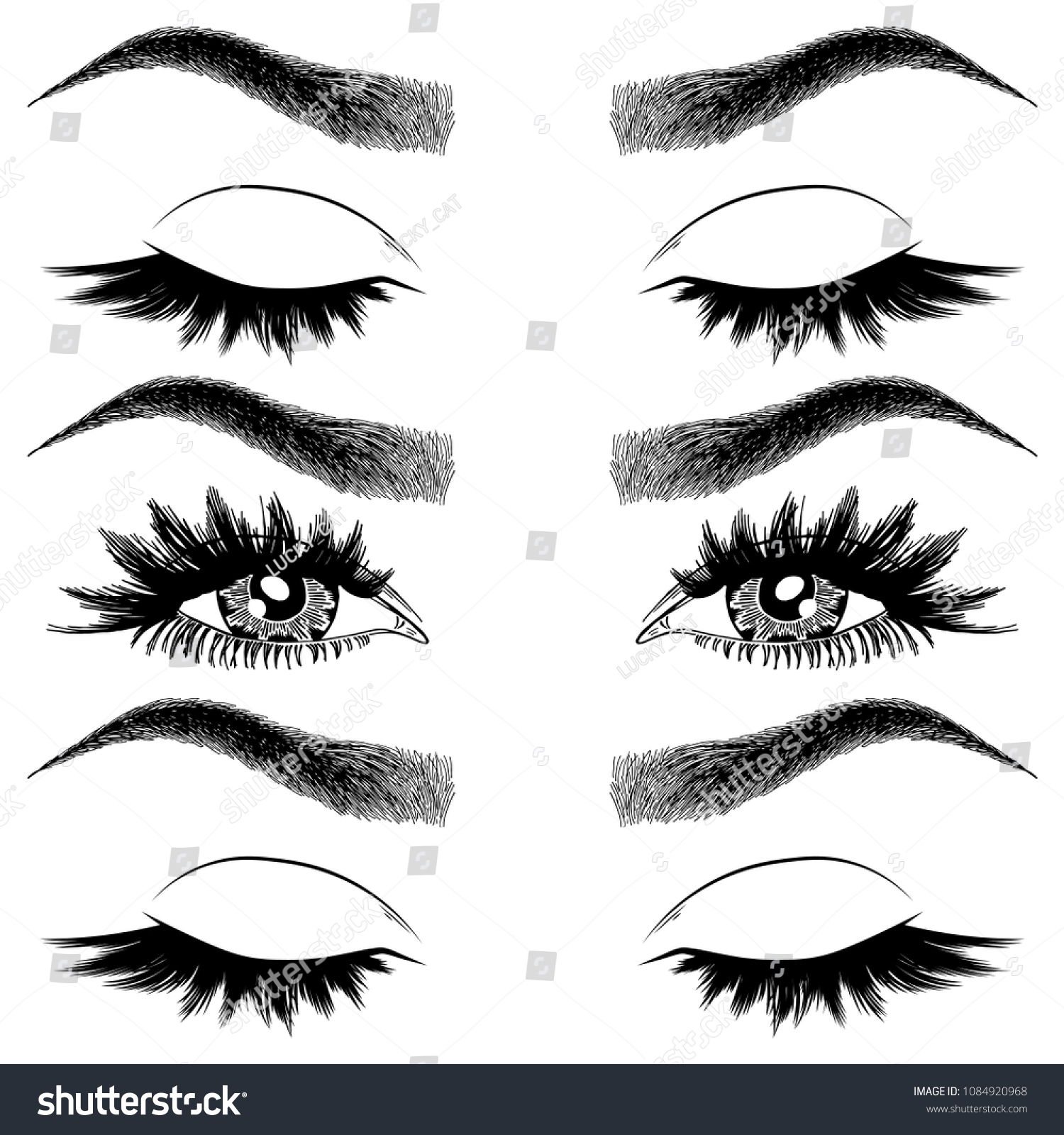 Illustration Womans Eyes Eyelashes Eyebrows Makeup Stock Vector Royalty Free 1084920968 7070