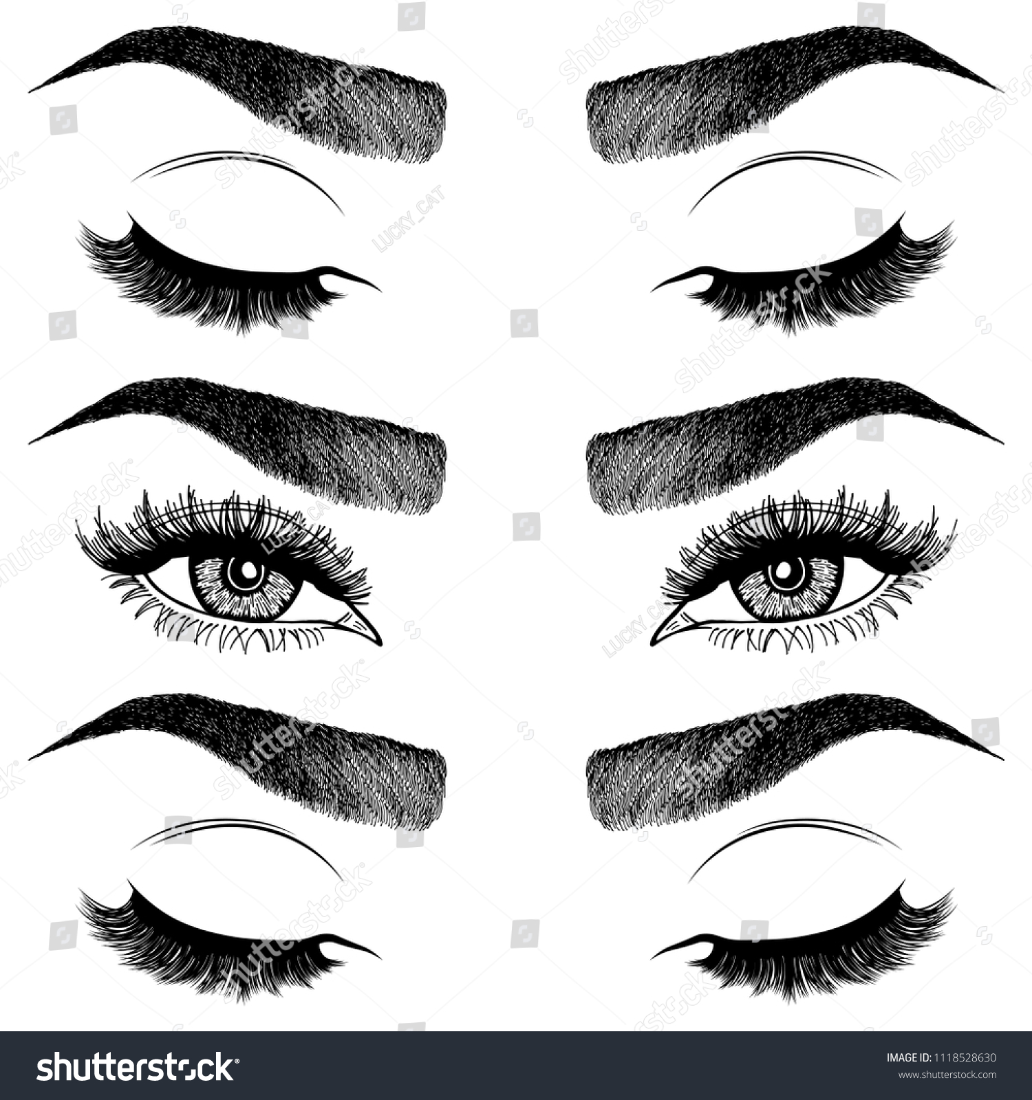 Illustration Womans Eyes Eyelashes Eyebrows Makeup Vector De Stock Libre De Regal As