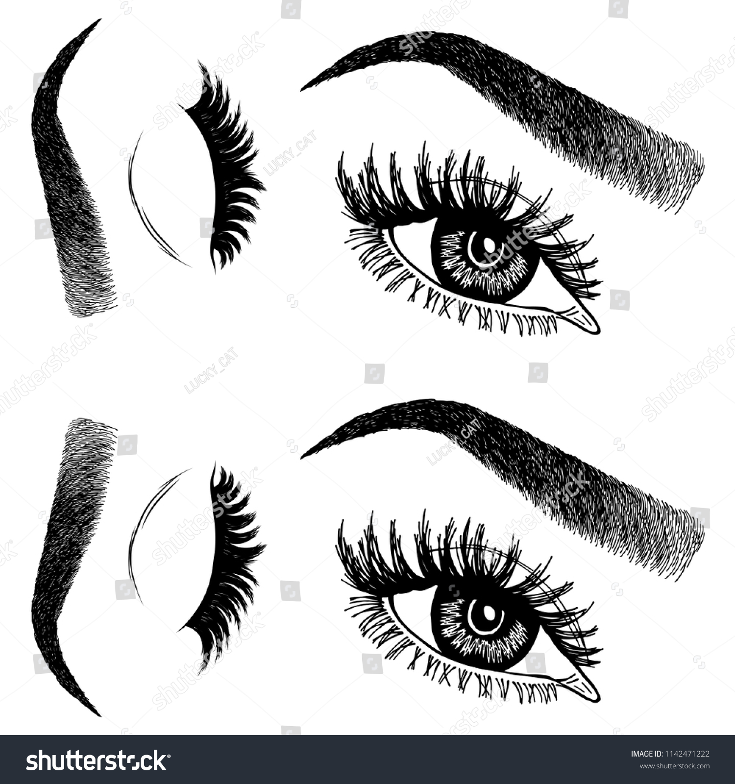 Illustration Womans Eyes Eyelashes Eyebrows Makeup Stock Vector Royalty Free 1142471222