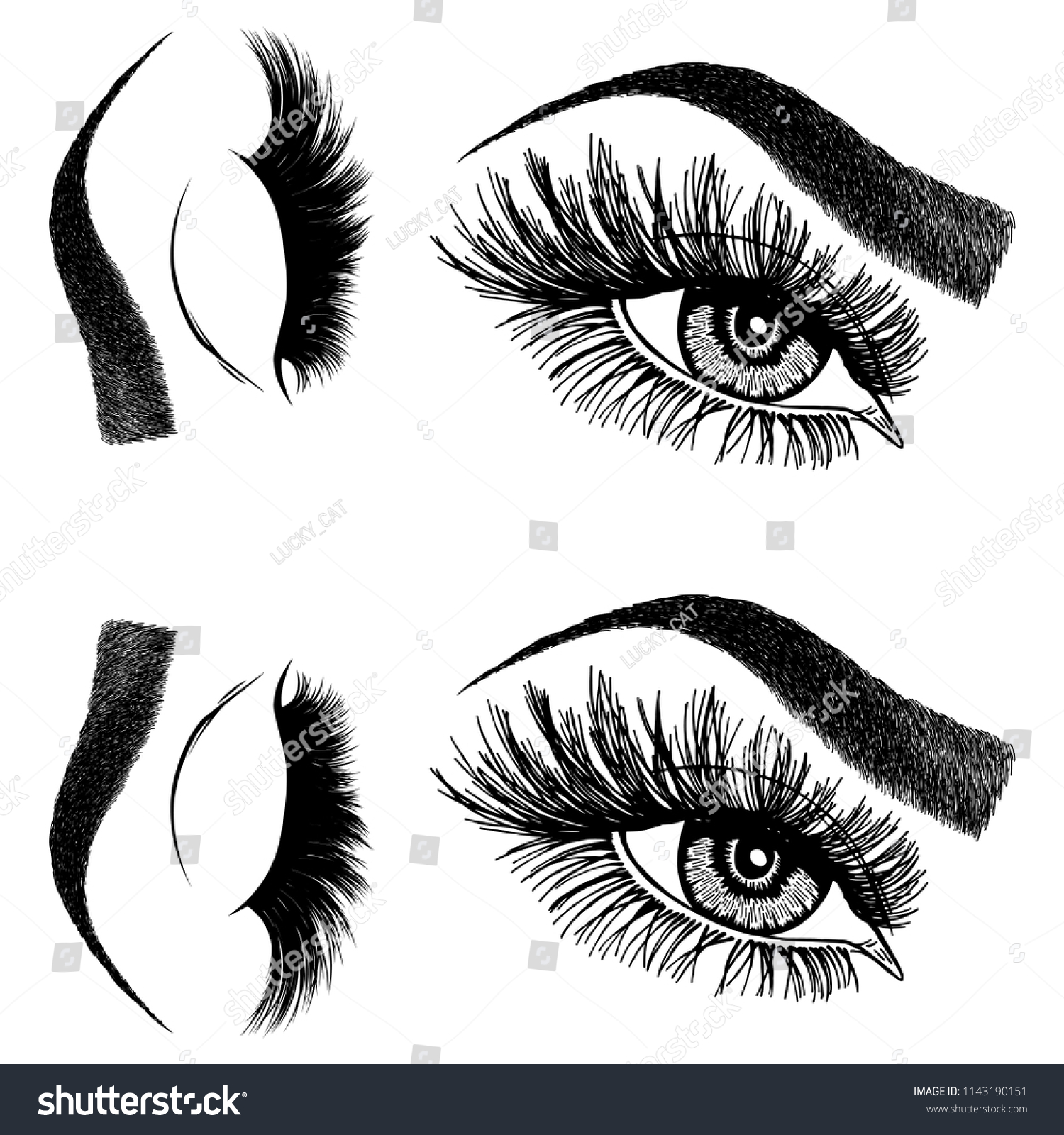 Illustration Womans Eyes Eyelashes Eyebrows Makeup Stock Vector Royalty Free 1143190151 0263