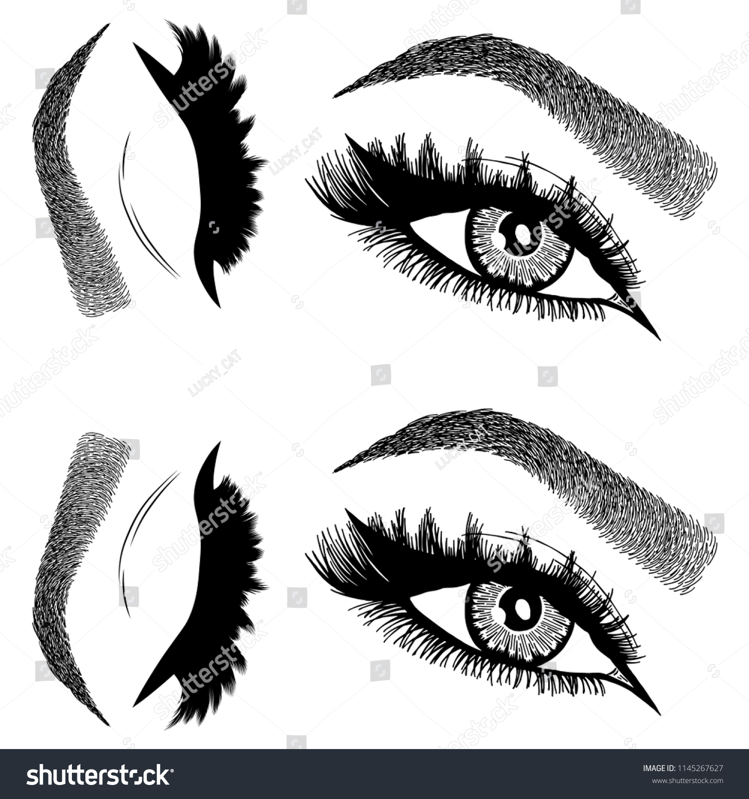 Illustration Womans Eyes Eyelashes Eyebrows Makeup Stock Vector Royalty Free 1145267627 2014