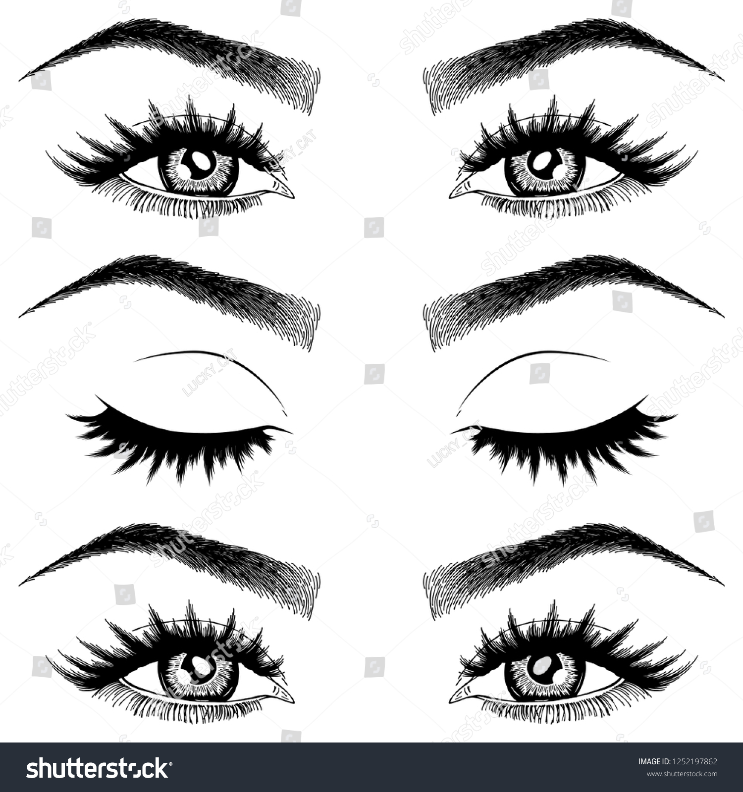 Illustration Womans Eyes Eyelashes Eyebrows Makeup Stock Vector Royalty Free 1252197862 1601