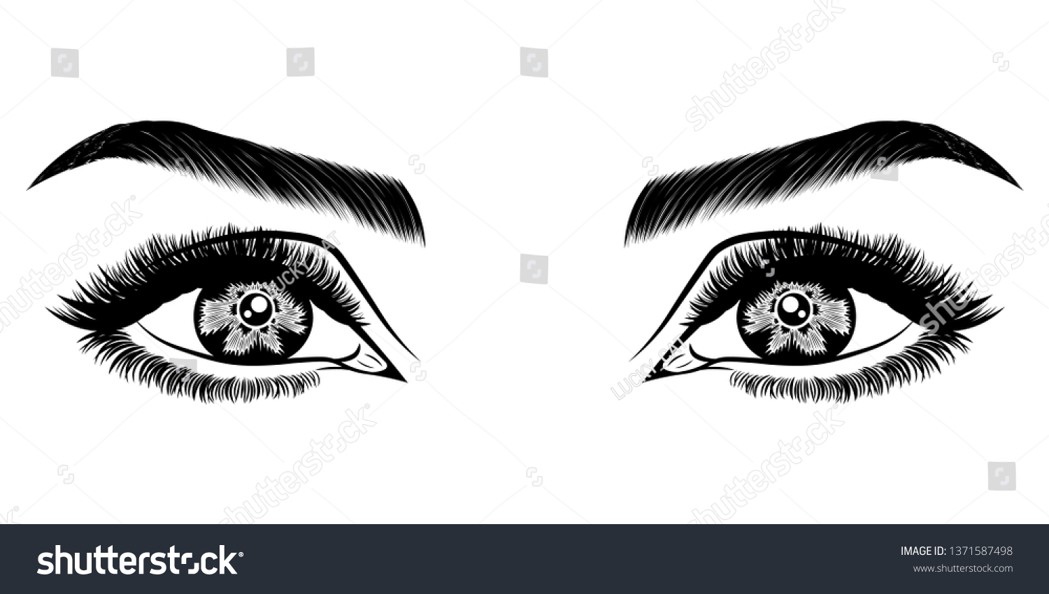 Illustration Womans Eyes Eyelashes Eyebrows Makeup Stock Vector Royalty Free 1371587498 9263