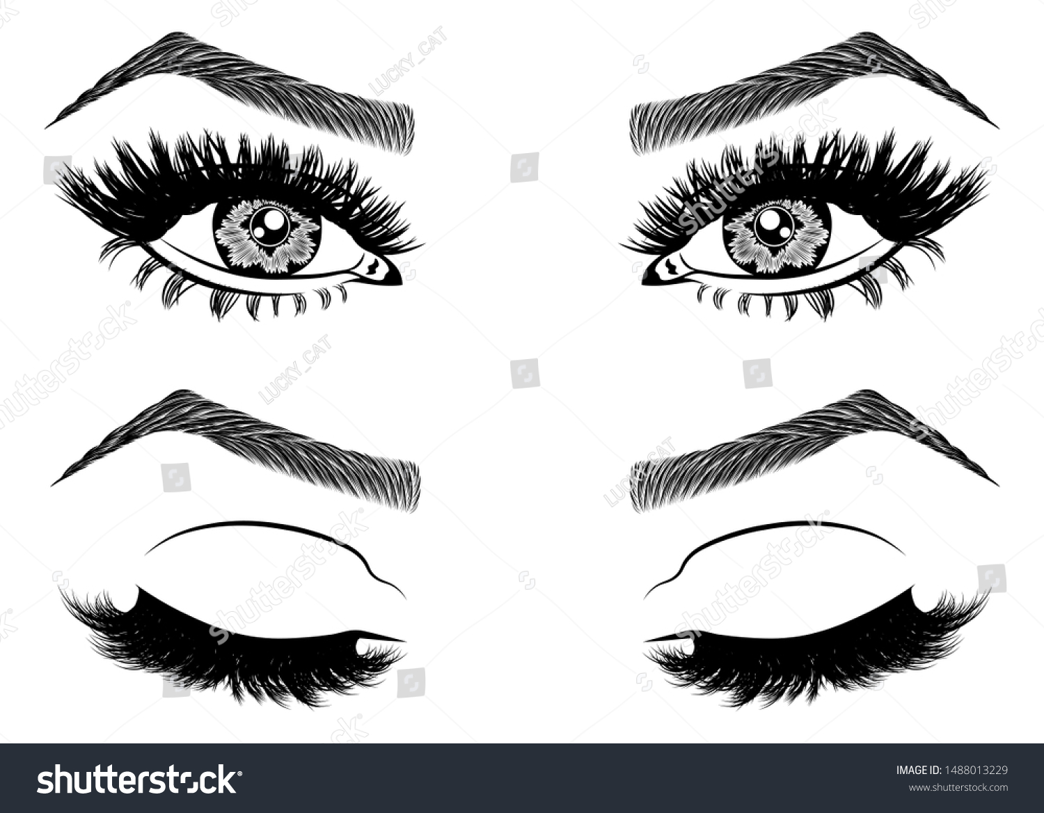 Illustration Womans Eyes Eyelashes Eyebrows Realistic Image Vectorielle De Stock Libre De 4920