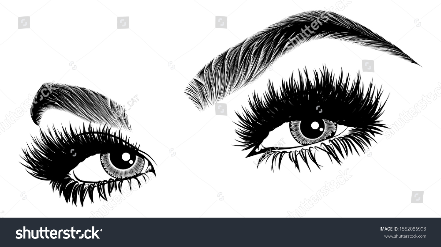 Illustration Womans Eyes Eyelashes Eyebrows Realistic Stock Vector Royalty Free 1552086998 9461