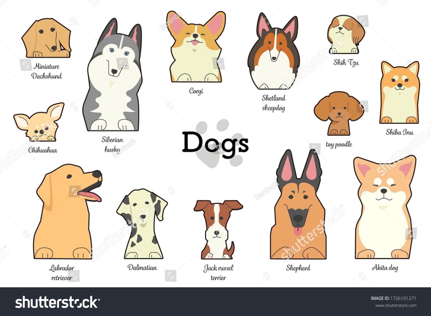 Illustrations Different Types Dogs Forepaws Names Stock Vector (Royalty ...