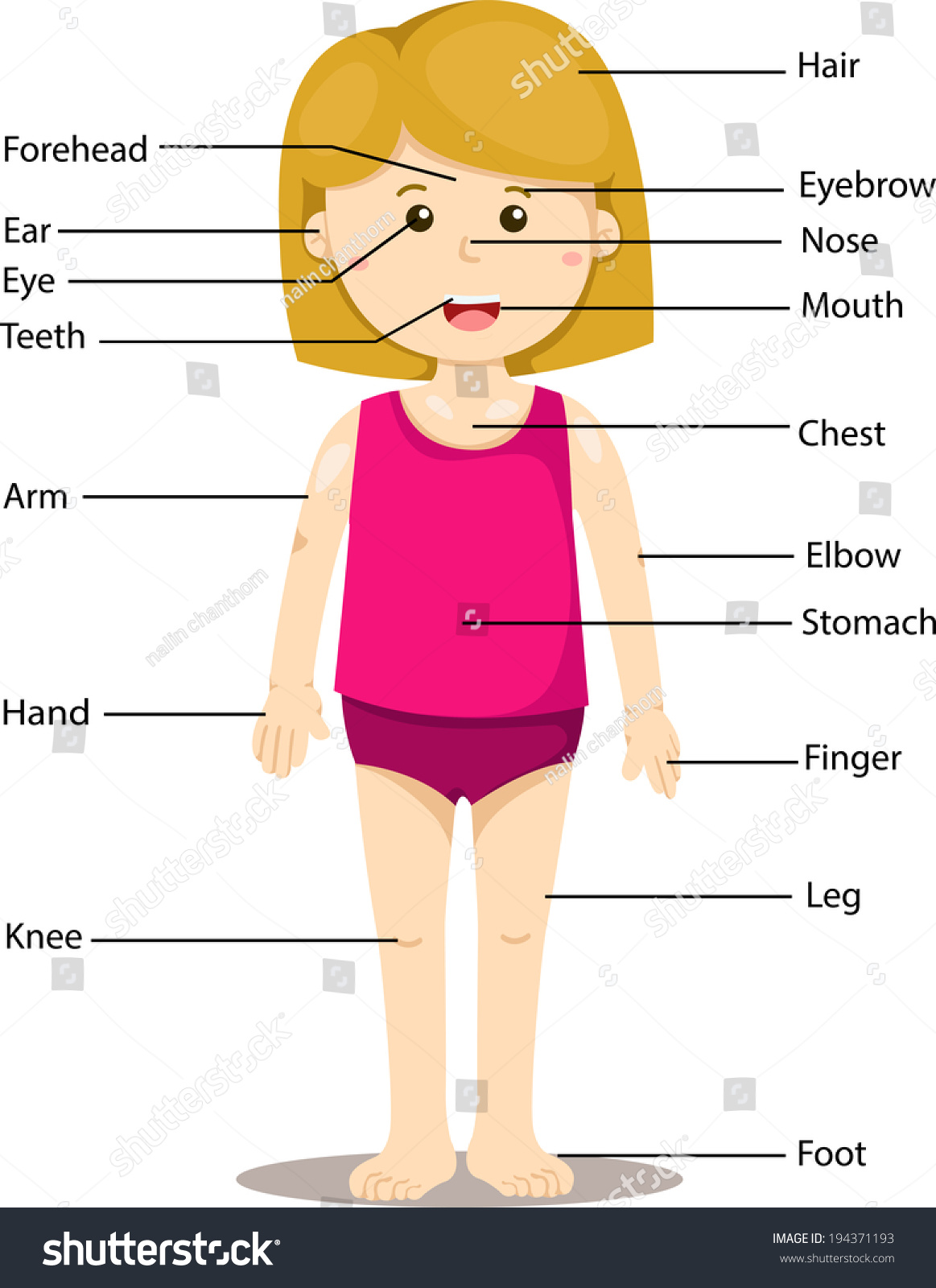 Body Parts Of Woman Name With Picture / My Body Parts Names in English