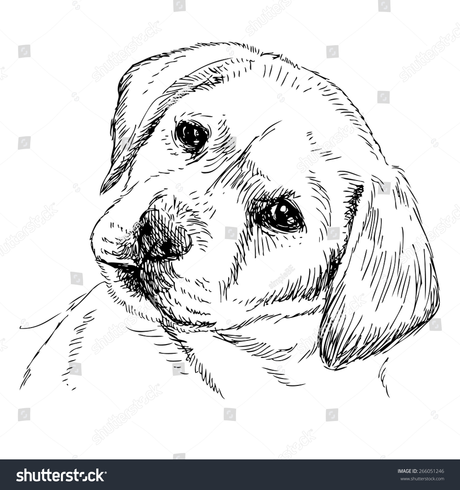 Image Labrador Retriever Puppy Hand Drawn Stock Vector 266051246 ...