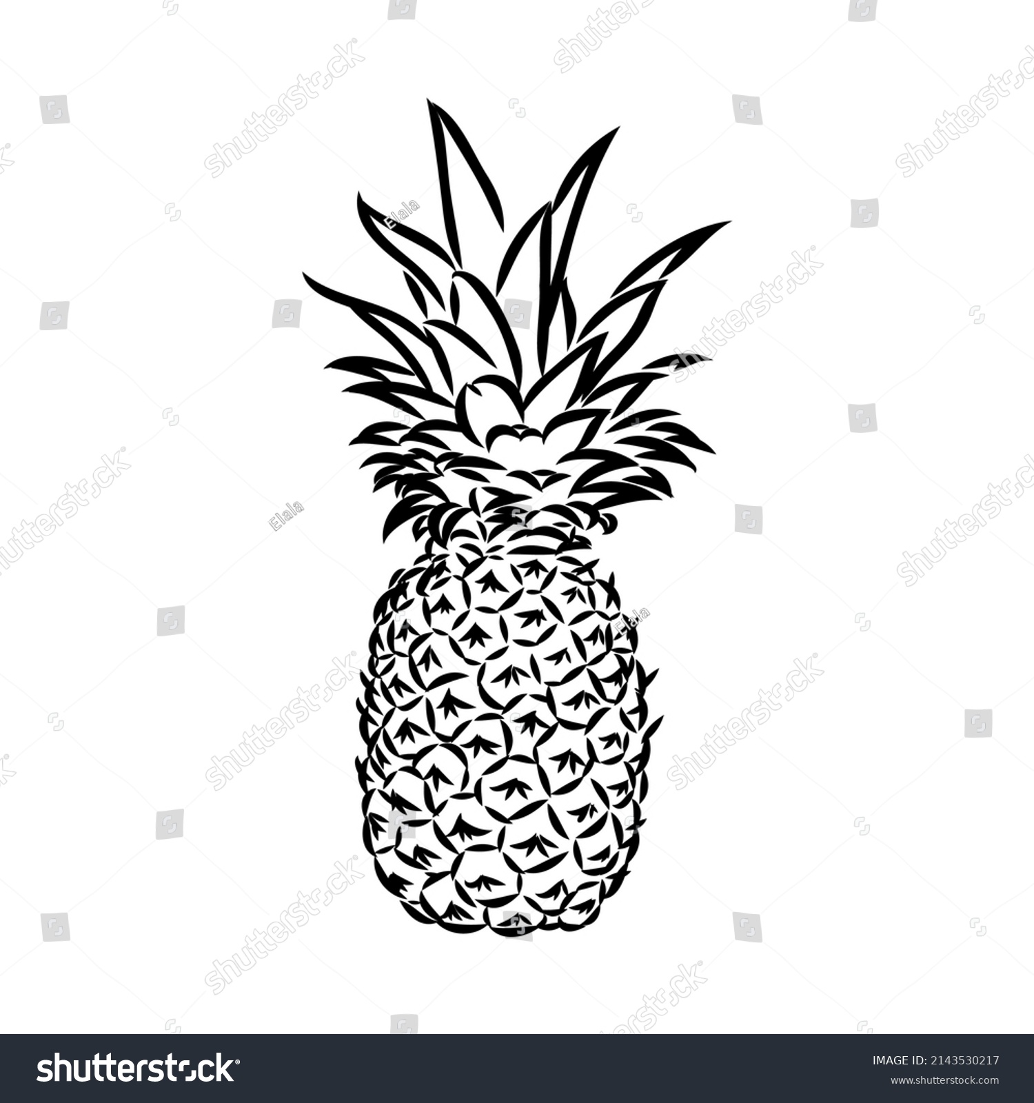 Image Pineapple Fruit Vector Black White Stock Vector Royalty Free 2143530217 Shutterstock 8879