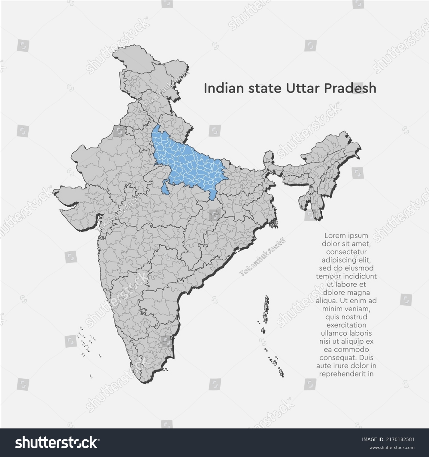 India Country High Detailed Illustration Map Stock Vector (Royalty Free ...