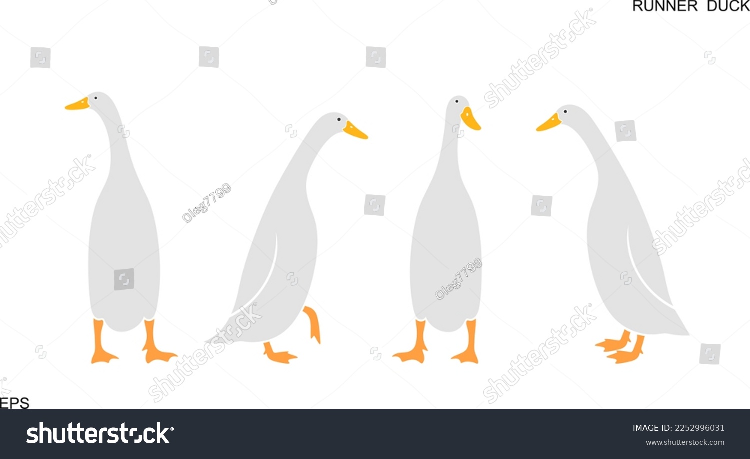 SVG of Indian runner ducks logo. Isolated indian runner ducks on white background. Bird svg