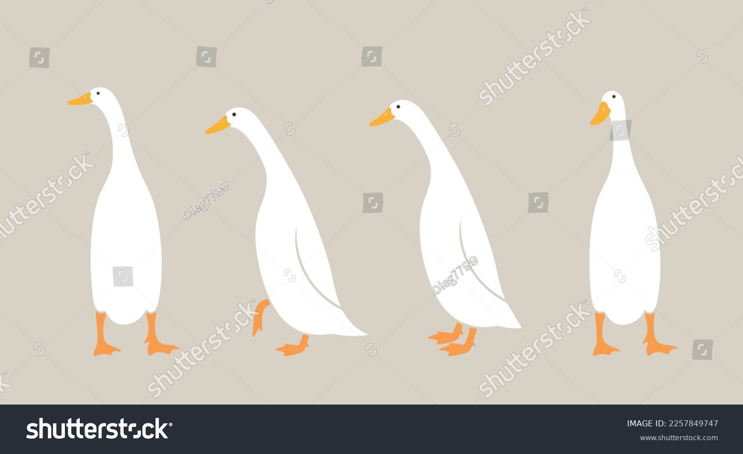 SVG of Indian runner ducks logo. Isolated indian runner ducks on white background. Bird svg
