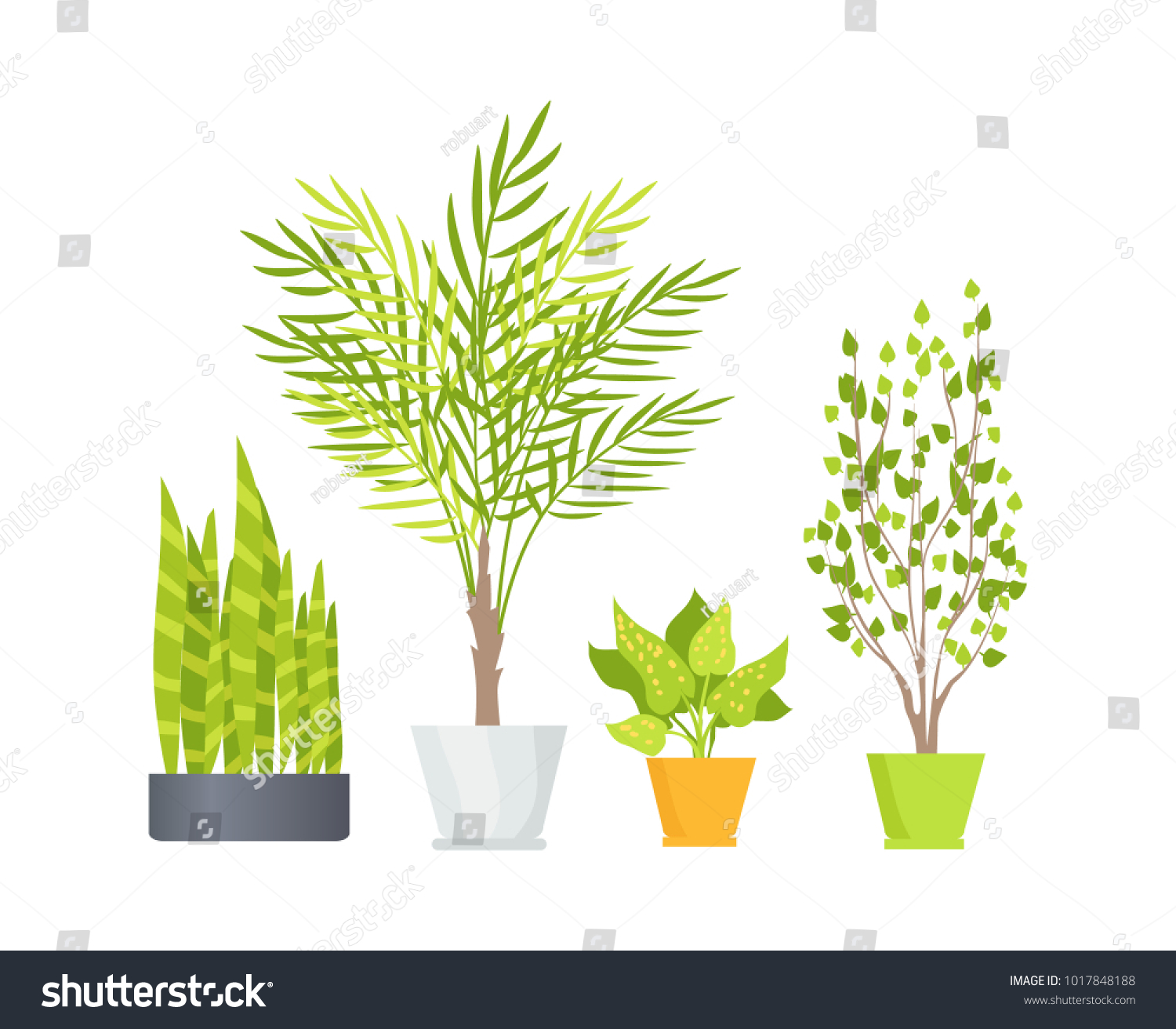 Indoor Floor Plants Lush Foliage Long Stock Vector 1017848188 ... Indoor Floor Plants Lush Foliage Long Stock Vector 1017848188 ...