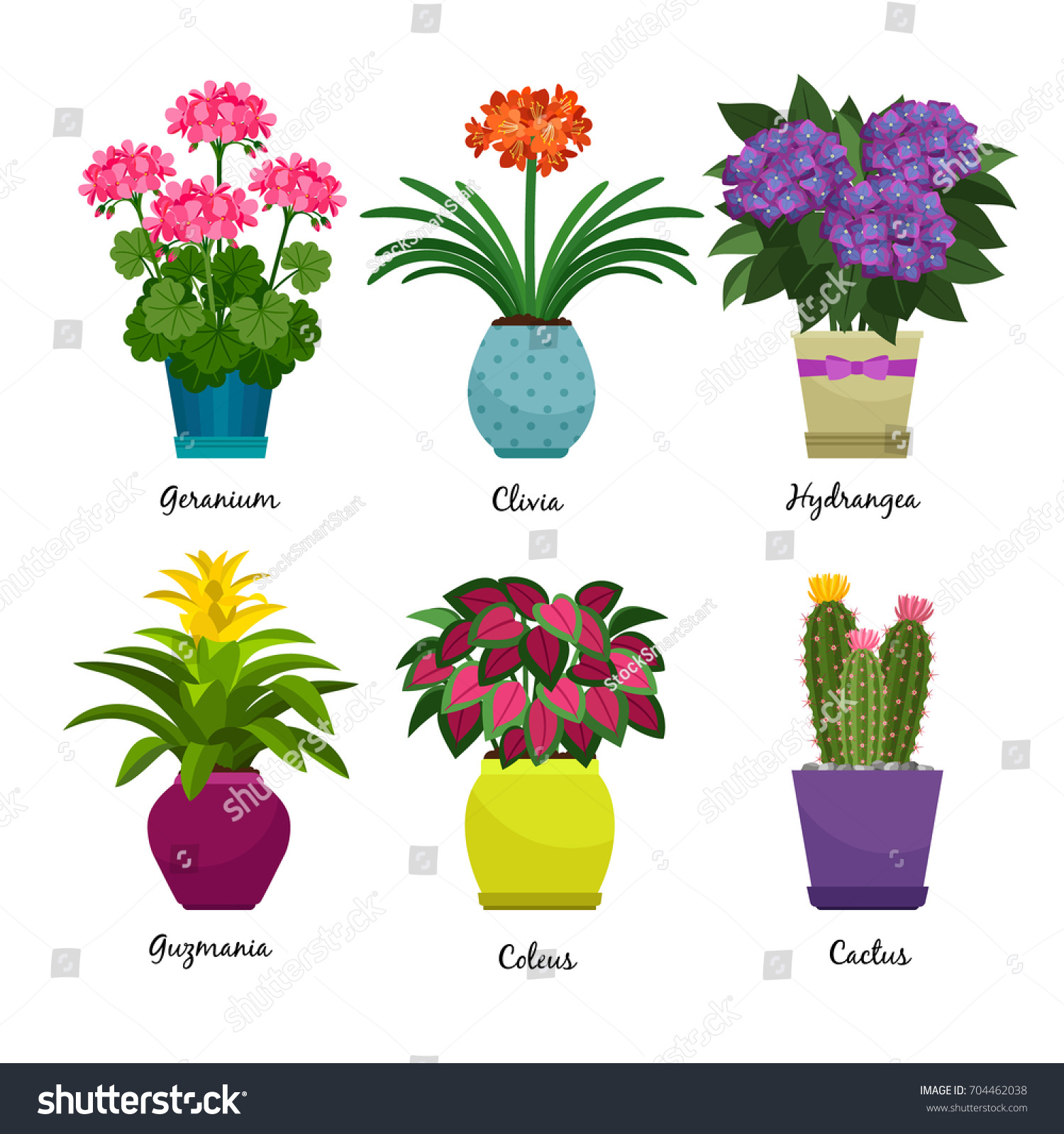 indoor garden songs indoor garden plants fresh flowers isolated stock vector 704462038 indoor garden songs indoor garden plants fresh flowers isolated stock vector 704462038