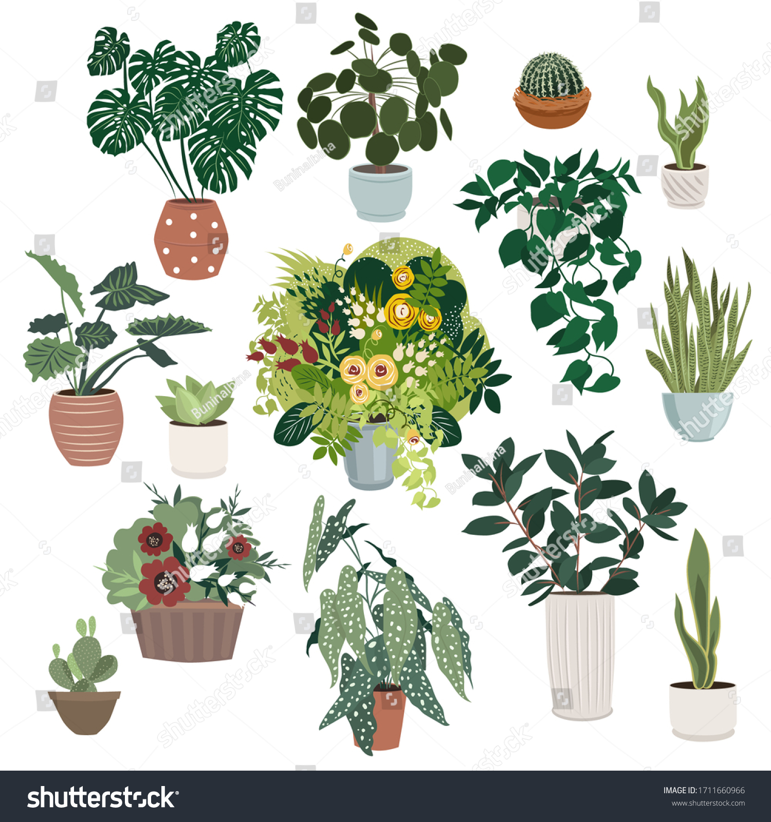 Indoor Plants Collection Vector Illustrations Stock Vector (Royalty ...