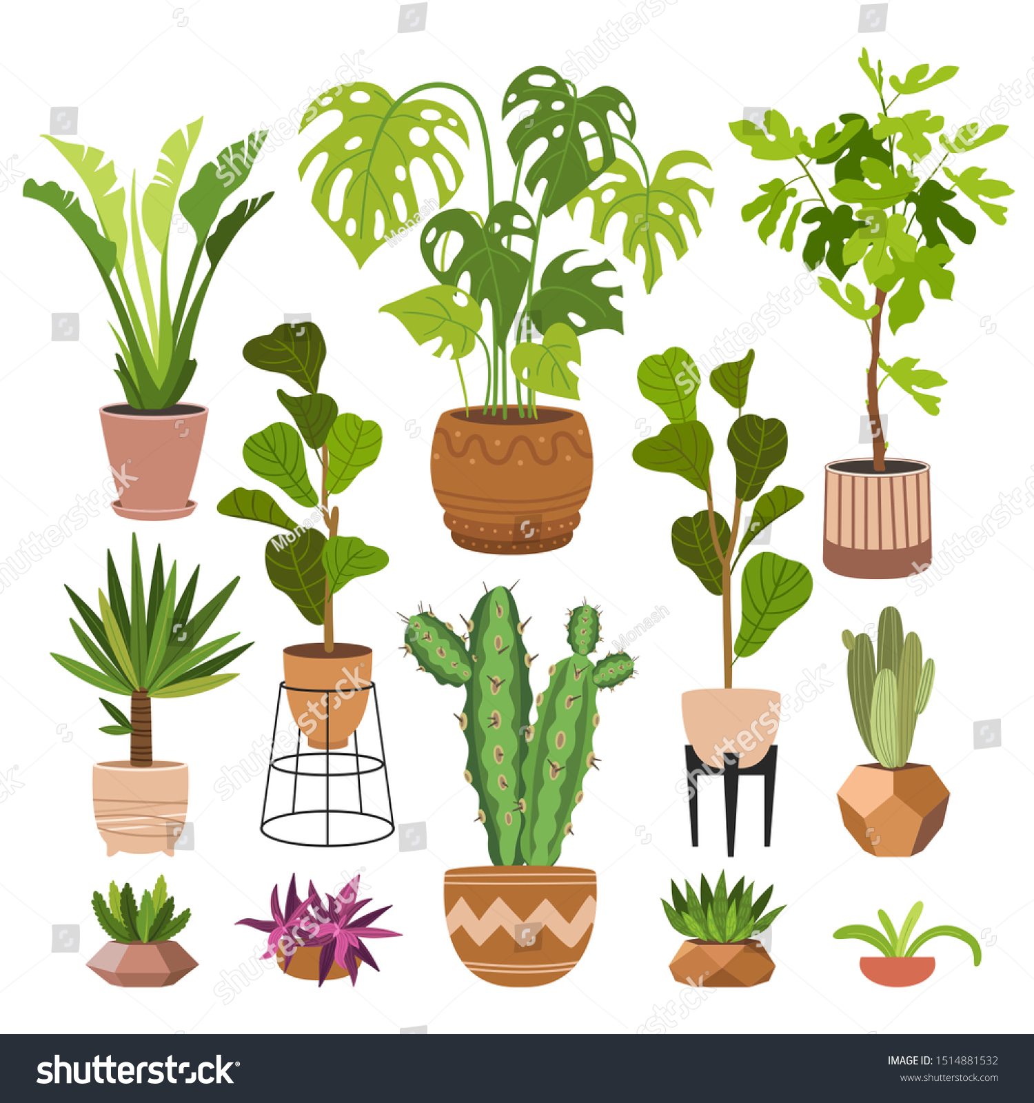 Indoor Plants Flat Color Illustrations Set Stock Vector (Royalty Free ...