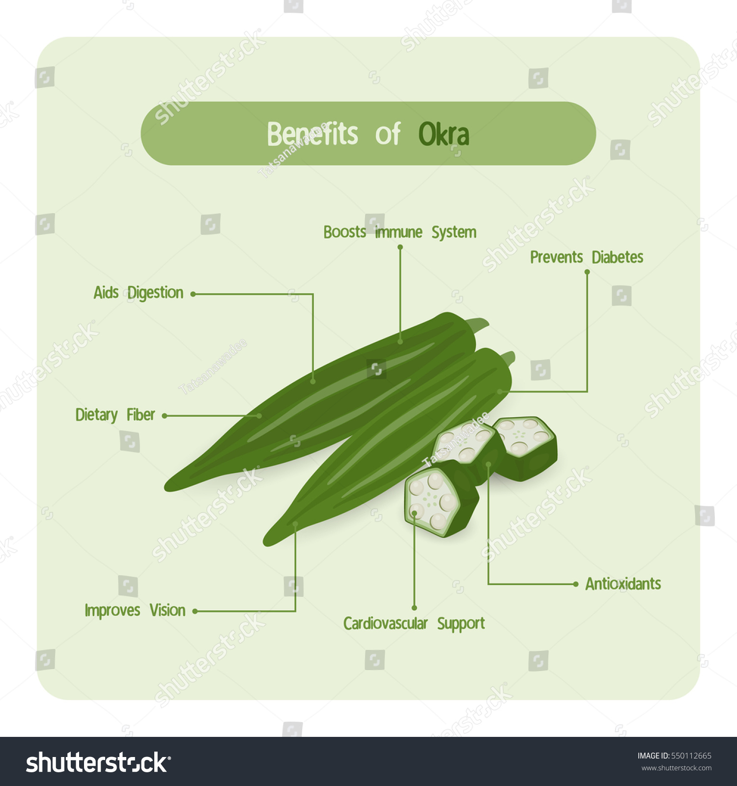 infographic okra benefits handwriting font style stock vector Okra Varieties infographic for okra benefits with handwriting font style