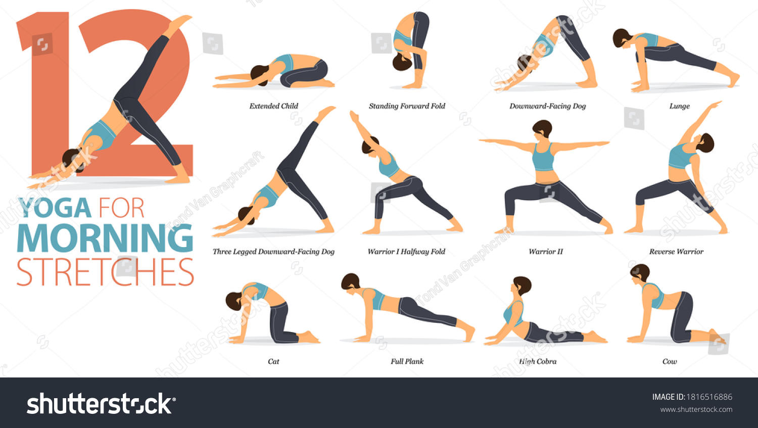 3,754 Stretching Infographic Images, Stock Photos & Vectors 