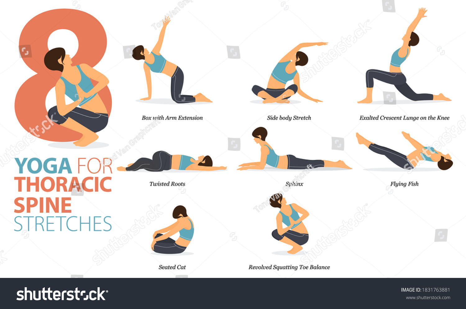 9,342 Spine yoga Images, Stock Photos & Vectors | Shutterstock