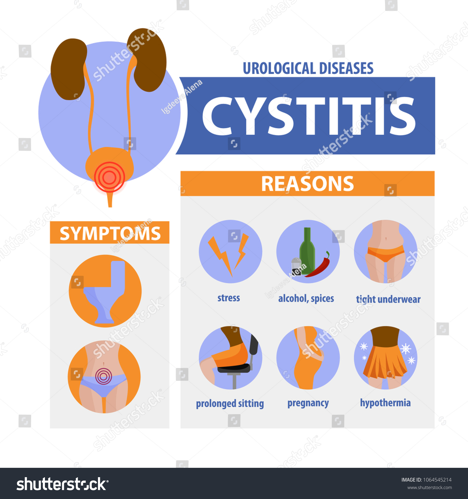 Phytolysin: in pregnancy - salvation from cystitis 48 Phytolysin: in pregnancy - salvation from cystitis 63