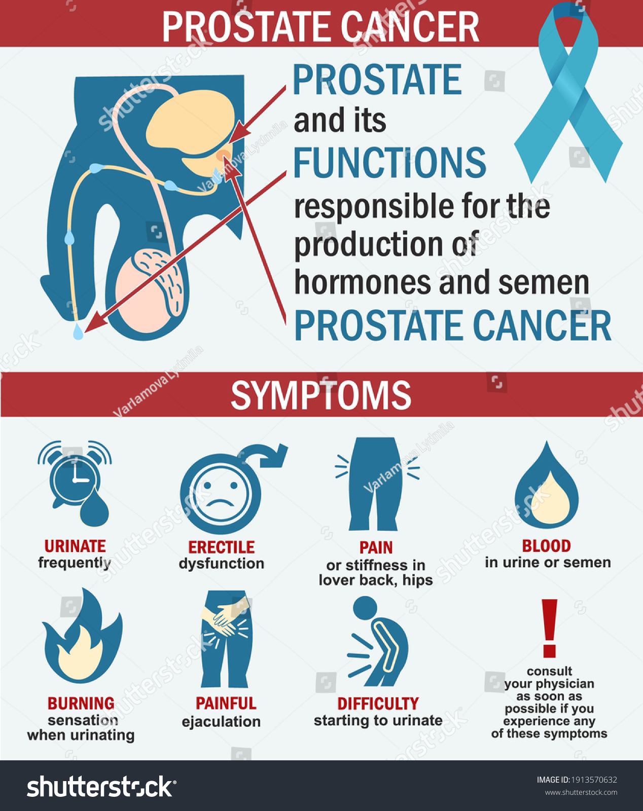 862 Symptoms of prostate cancer Images, Stock Photos & Vectors