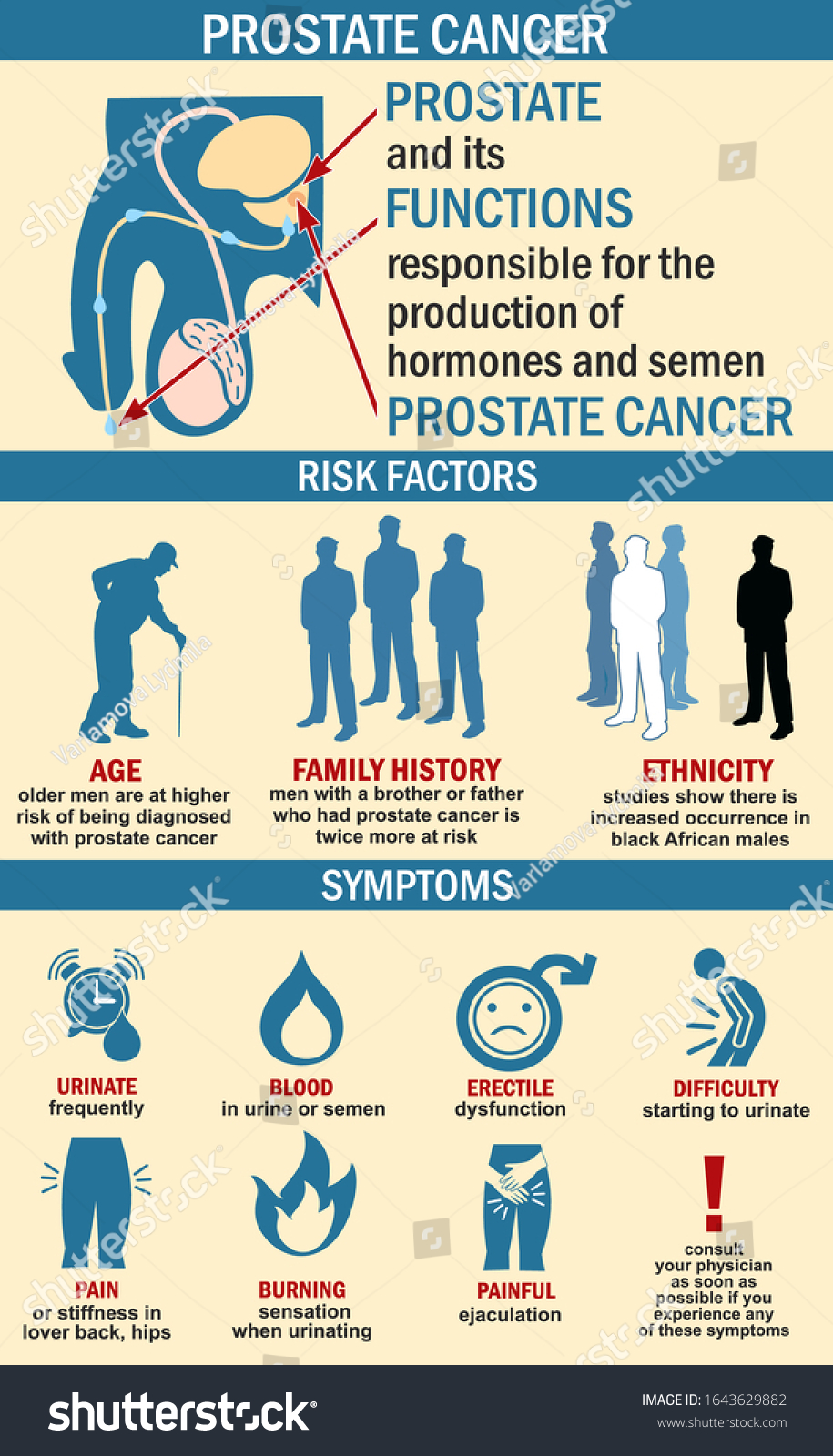 Infographics Prostate Cancer Illustration Prostate Cancer Stock Vector Royalty Free 1643629882
