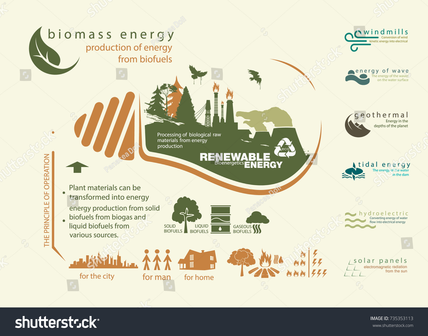 Infographics Renewable Source Biomass Energy Operation Stock Vector ...