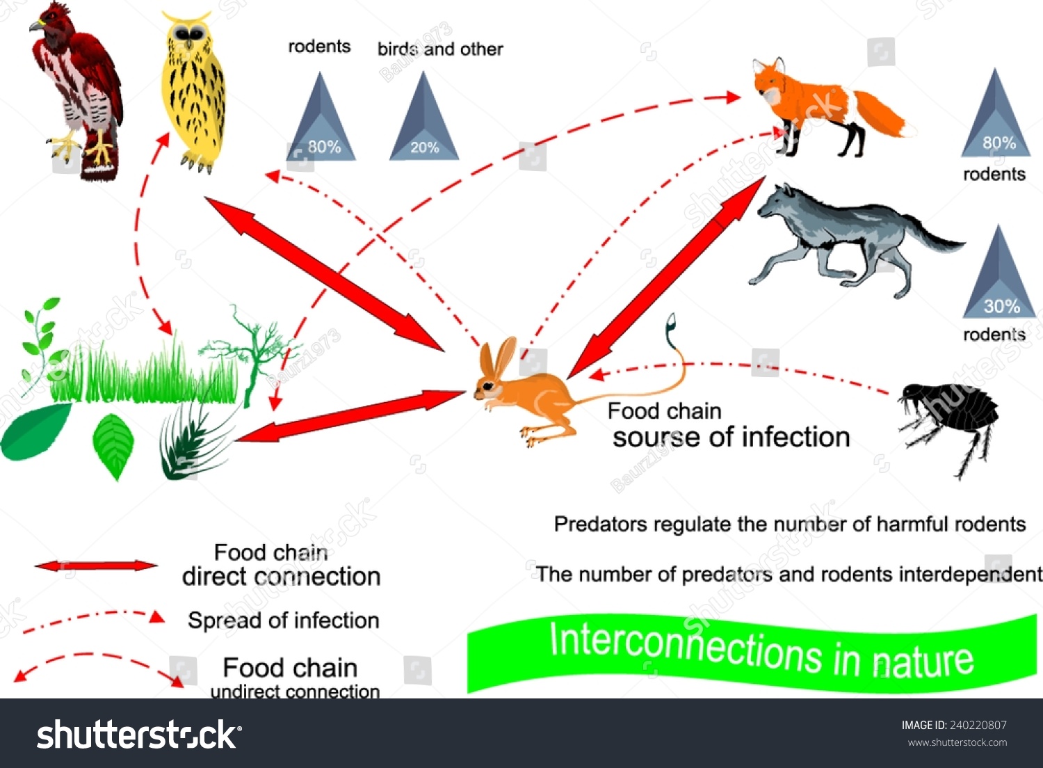 top-142-what-animals-are-predators-merkantilaklubben