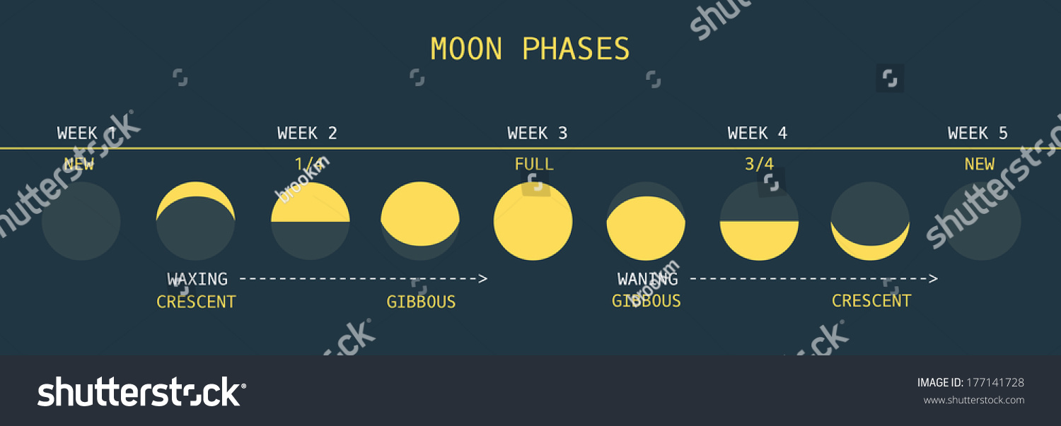 Informative Chart Monthly Moon Cycle Equator Stock Vector 177141728 ...