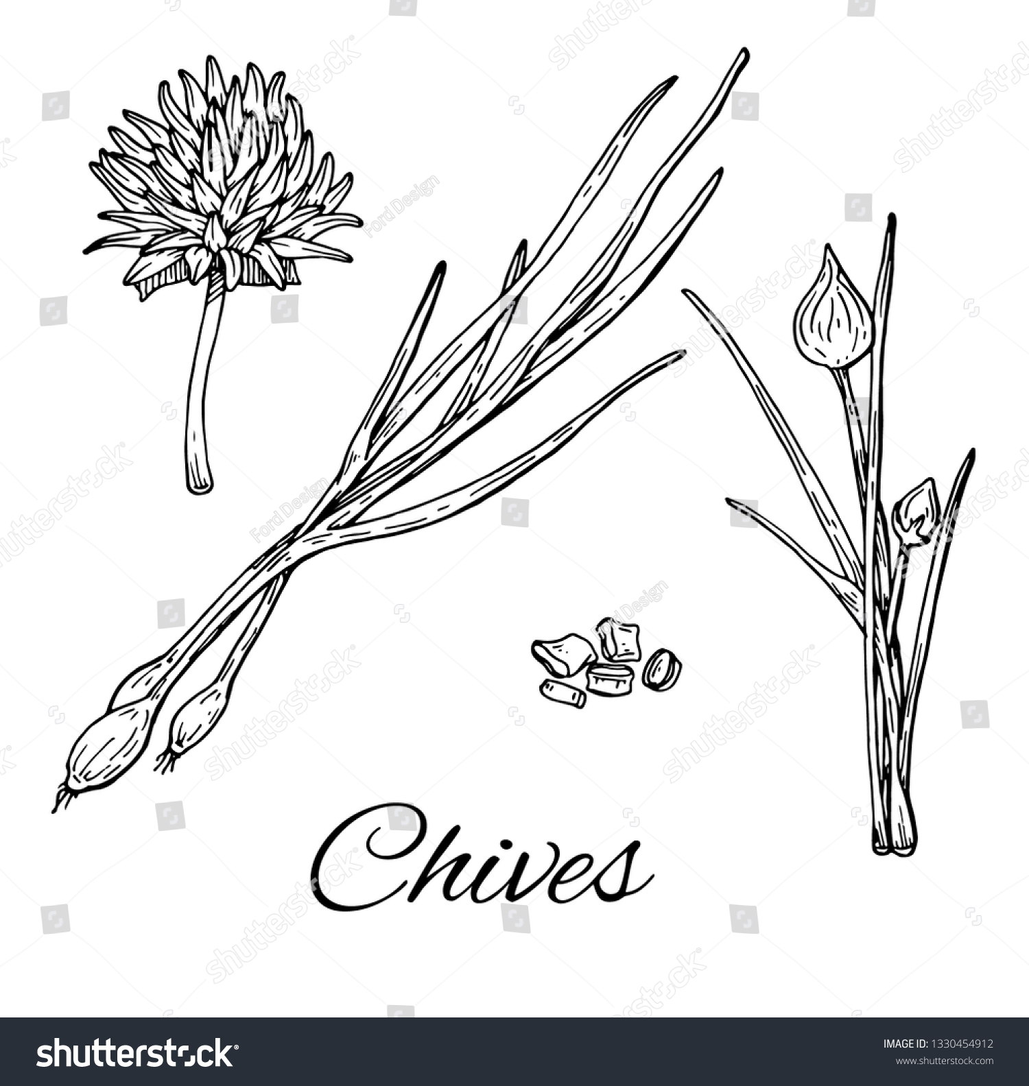 SVG of Ink Garlic Chives hand drawn set. Leaves, sliced pieces and flower. Retro botanical line art. Medical herb and spice. Vintage raw chives. Herbal vector illustration isolated on white background svg